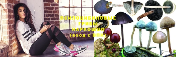 герыч Кукмор